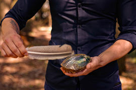 Abalone shell smudge bowl with Sage and Feather - O3A6382